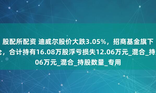 股配所配资 迪威尔股价大跌3.05%，招商基金旗下3只基金重仓，合计持有16.08万股浮亏损失12.06万元_混合_持股数量_专用